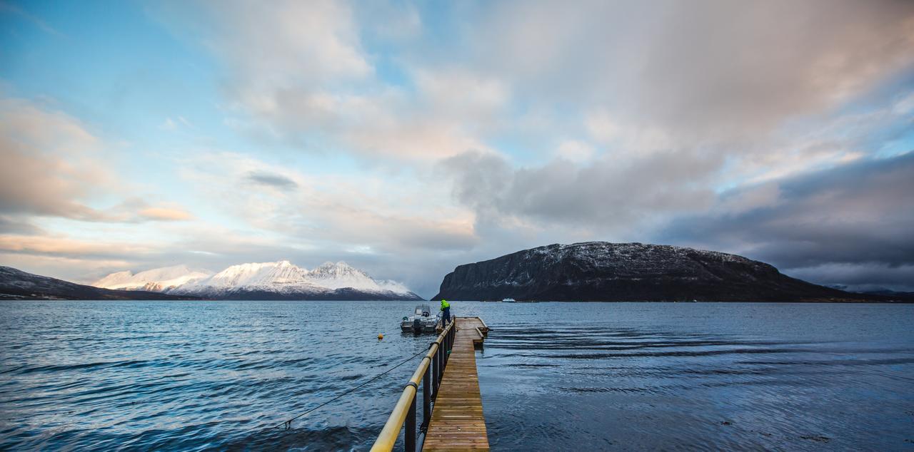 Arctic Panorama Lodge Uløybukta Exterior foto